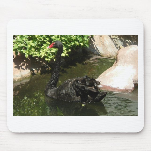 Black Swan Mouse Pad (Front)