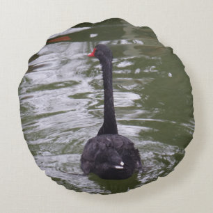 Black Swan Round Pillow