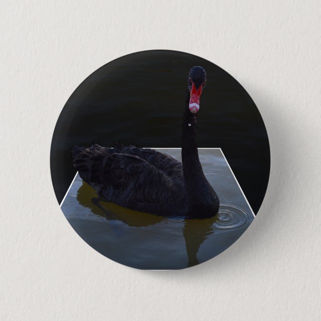 Black Swan Swimming In Dimensional Pond, 2 Inch Round Button (Front)
