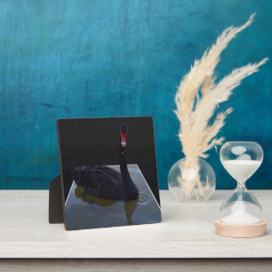 Black Swan Swimming In Dimensional Pond, Plaque