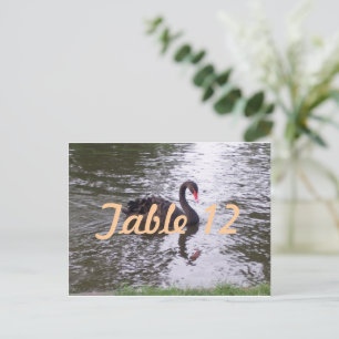 Black Swan Table Number Postcard