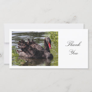 Black Swan - Thank You Card