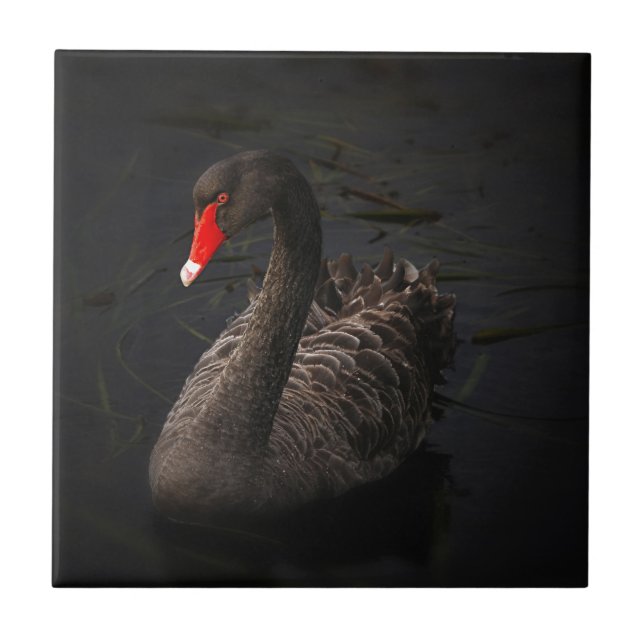 Black Swan Tile (Front)