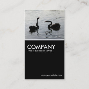 Black Swans Greeting - Black Business Card