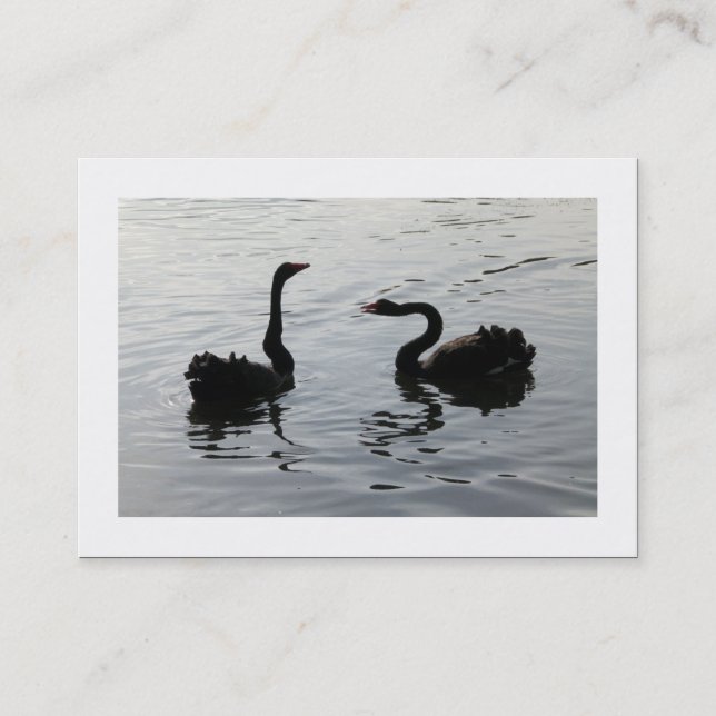 Black Swans Greeting (Bordered) Business Card (Front)