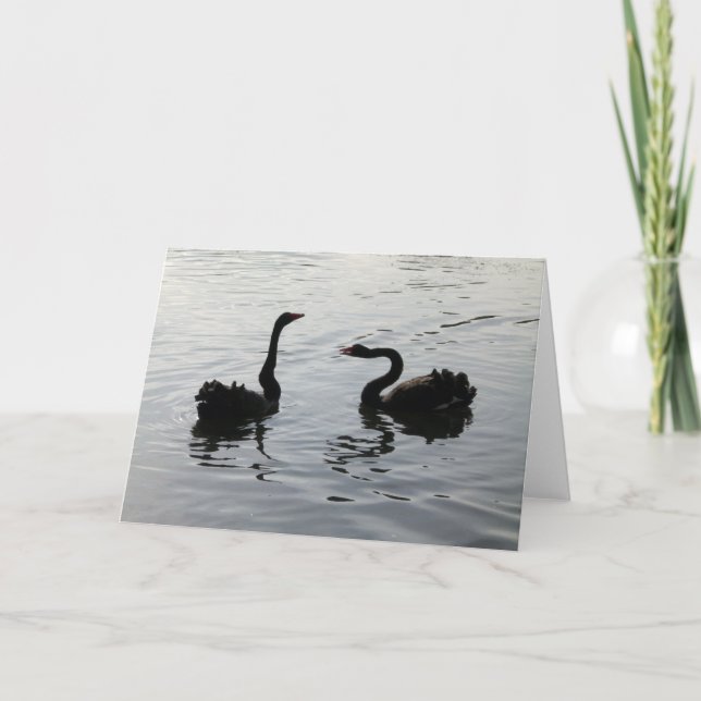 Black Swans Greeting Card (Front)