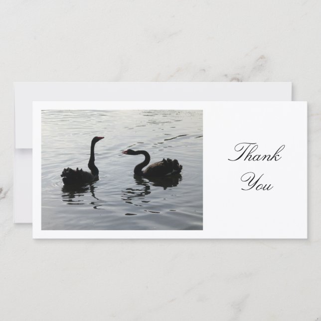 Black Swans Greeting - Thank You Card (Front)