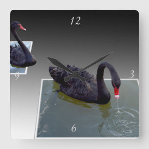 Black Swans In Dimensional Pond, Square Wall Clock