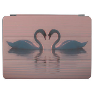 Black Swans Must Be Love Pink Sky iPad Air Cover