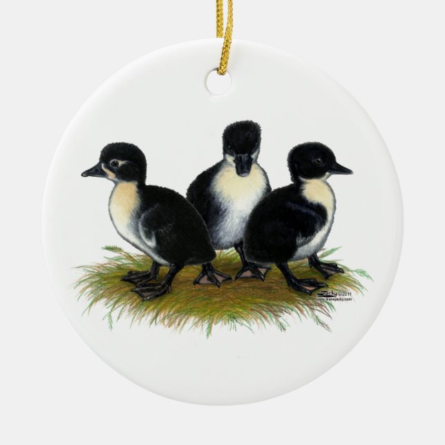 Black Swedish Ducklings Ceramic Ornament (Front)
