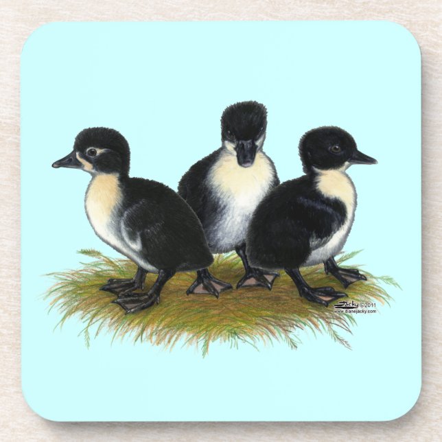 Black Swedish Ducklings Coaster (Front)