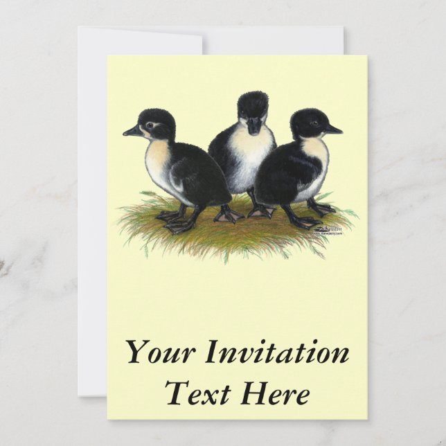 Black Swedish Ducklings Invitation (Front)
