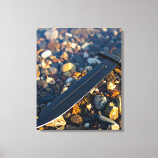 Black Sword in Shallow Water Canvas Print