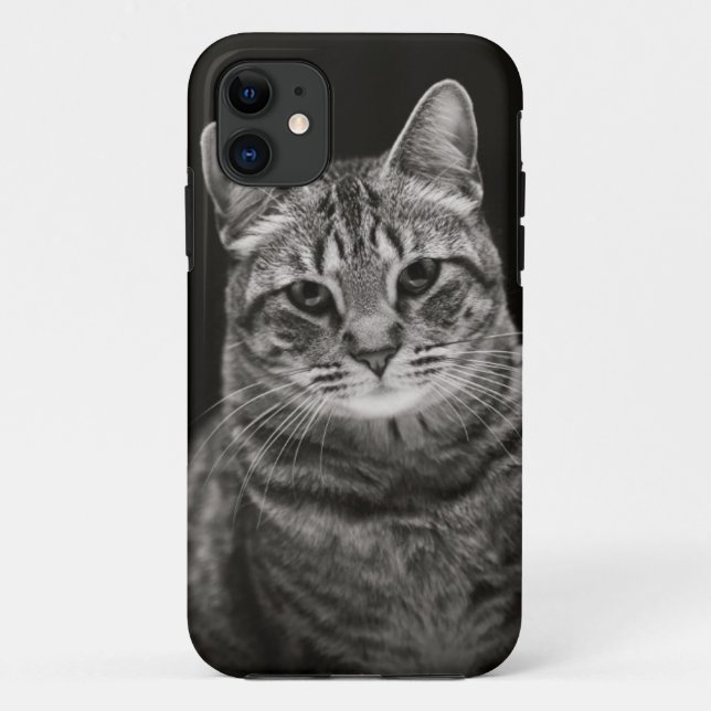 Black Tabby Kitten Case-Mate iPhone Case (Back)