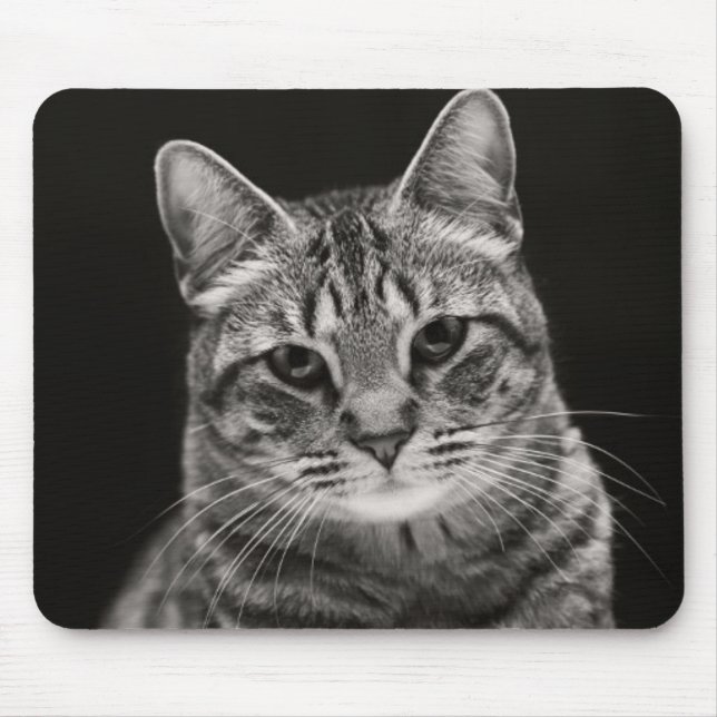 Black Tabby Kitten Mouse Pad (Front)