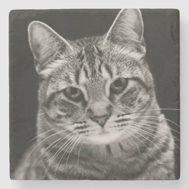 Black Tabby Kitten Stone Coaster (Front)