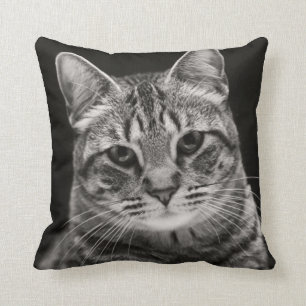 Black Tabby Kitten Throw Pillow