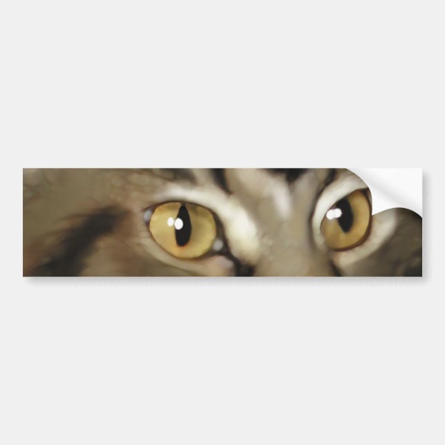 Black Tabby Maine Coon Cat Bumper Sticker (Front)