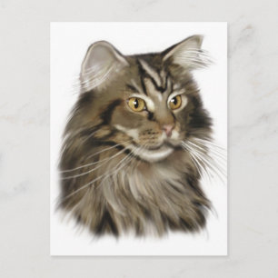 Black Tabby Maine Coon Cat Postcard