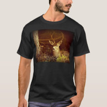 Black Tail Buck