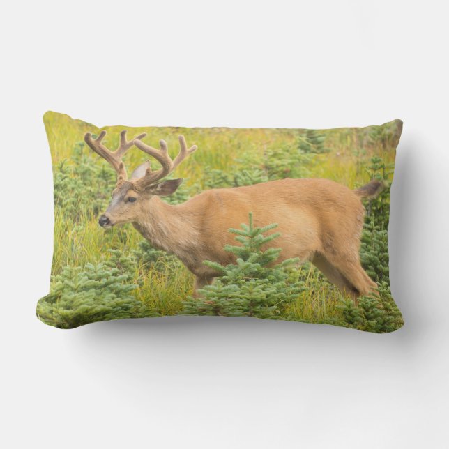 Black-tailed deer lumbar pillow (Front)