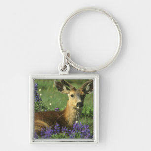 Black-tailed Deer, Odocoileus hemionus Keychain