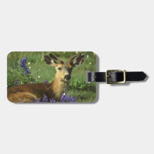 Black-tailed Deer, Odocoileus hemionus Luggage Tag