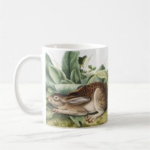 Black-tailed Hare Rabbit (Lepus negricaudatus) Coffee Mug