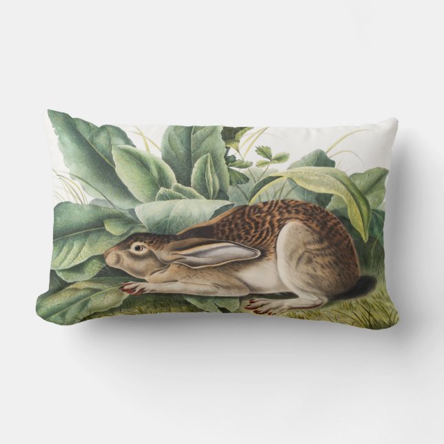 Black-tailed Hare Rabbit (Lepus negricaudatus) Lumbar Pillow (Front)