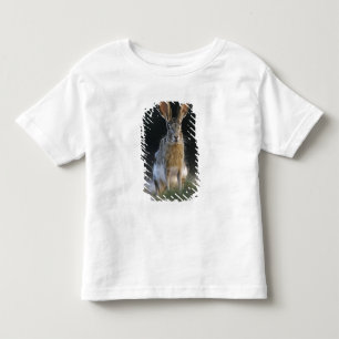 Black-tailed Jackrabbit, Lepus californicus, 2 Toddler T-shirt