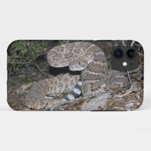 Black-tailed Rattlesnake Case-Mate iPhone Case