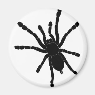 Black Tarantula Fridge Magnet