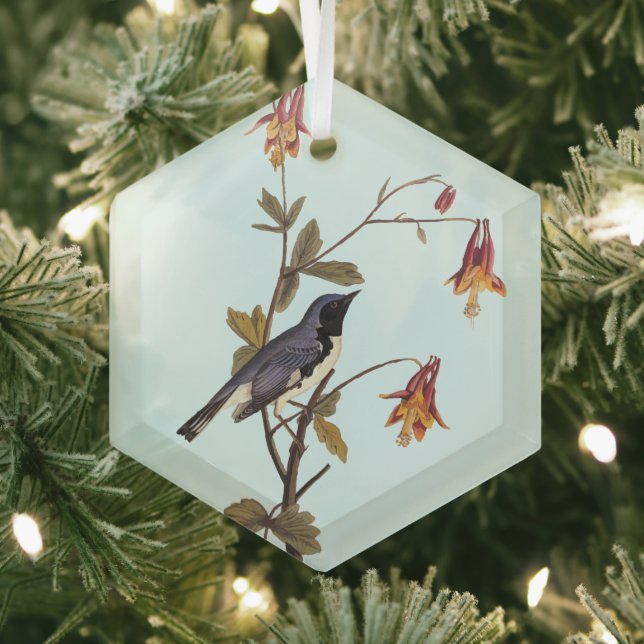 Black-Throated Blue Warbler Audubon Bird Lover Glass Ornament (Insitu)