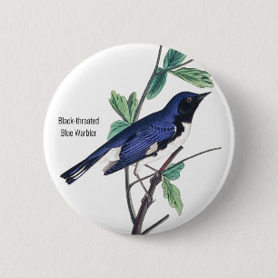 Black-throated Blue Warbler, Audubon, Bird Pin, 2 Inch Round Button