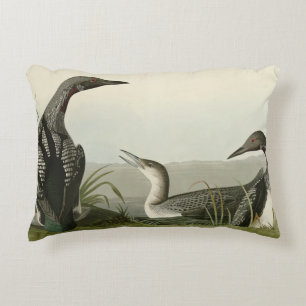 Black-Throated Diver Loon Audubon Birds of America Accent Pillow