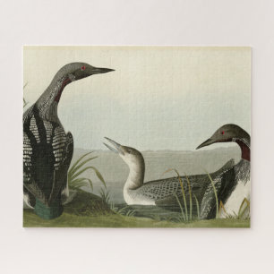 Black-Throated Diver Loon Audubon Birds of America Jigsaw Puzzle