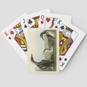 Black-Throated Diver Loon Audubon Birds of America Playing Cards
