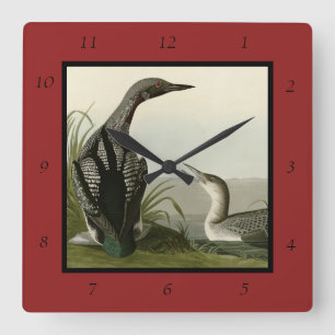 Black-Throated Diver Loon Audubon Birds of America Square Wall Clock