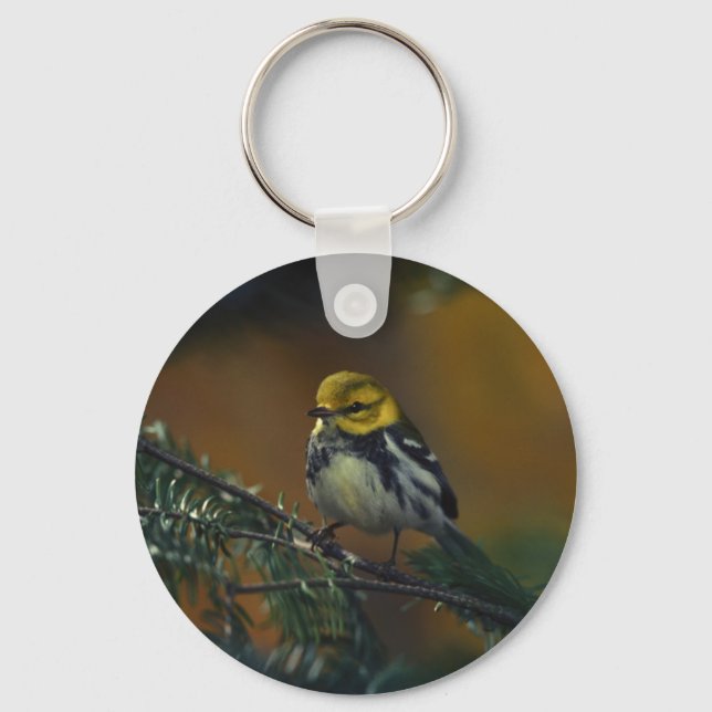 Black throated warbler keychain (Front)