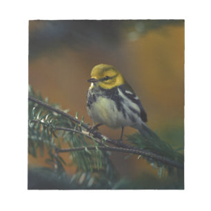 Black throated warbler notepad