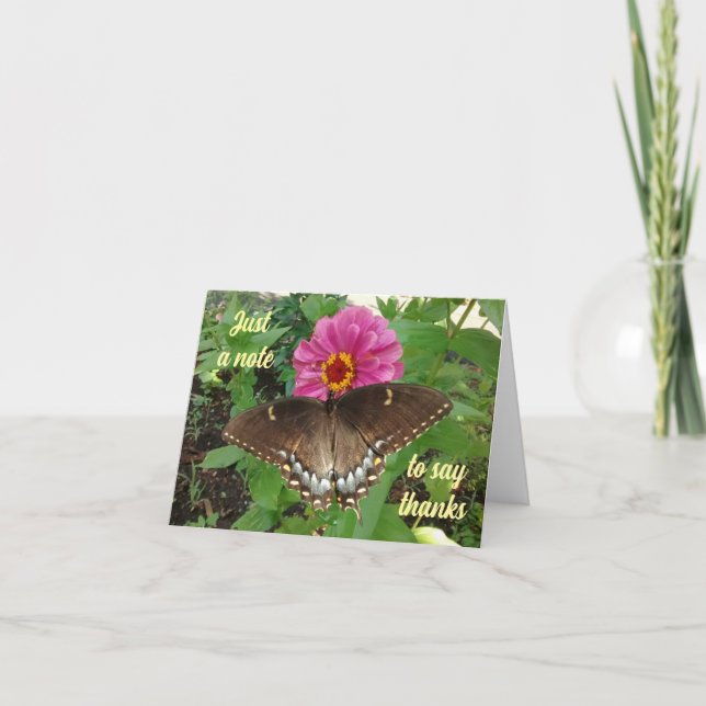 Black Tiger Swallowtail sur Zinnia Carte de remerc (Devant)