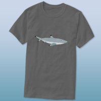 Black Tipped Reef Shark