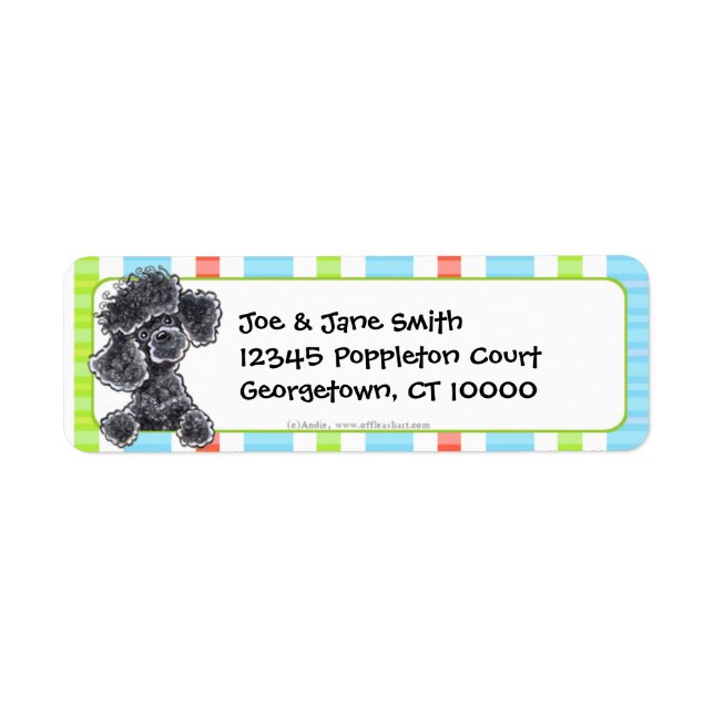 Black Toy Poodle Fun Stripes (Front)