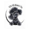 Black Toy Poodle IAAM