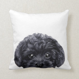 Black toy poodle original by miart throw pillow