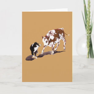 Black Tri Aussie Cow Dog Blank Greeting Card