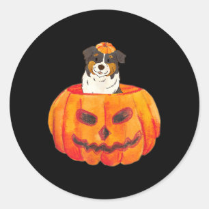 Black Tri Colour Aussie Dog Happy Halloween Pumpki Classic Round Sticker