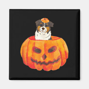 Black Tri Colour Aussie Dog Happy Halloween Pumpki Magnet