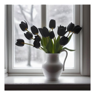 Black Tulips In White Vase Beside Frosty Window, Photo Print