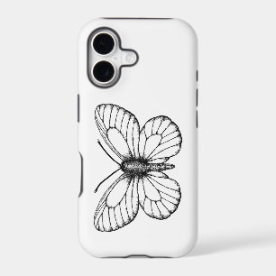 Black-veined white butterfly